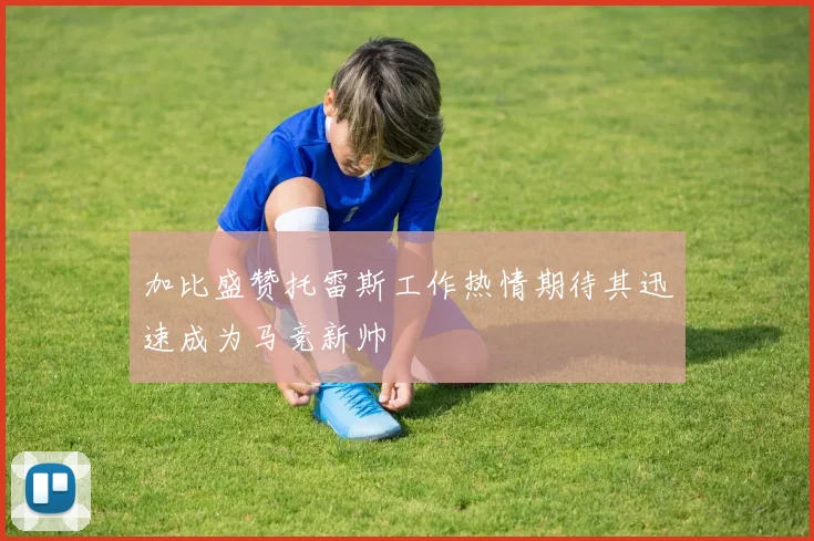 加比盛赞托雷斯工作热情期待其迅速成为马竞新帅