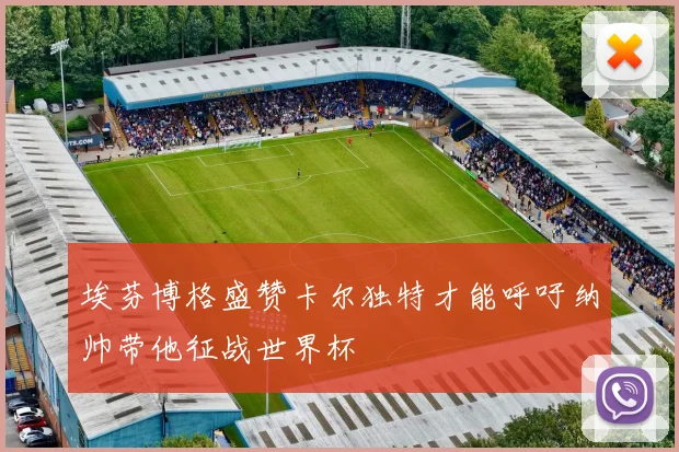 埃芬博格盛赞卡尔独特才能呼吁纳帅带他征战世界杯