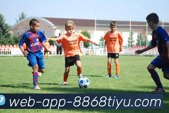 8868体育APP 封面图